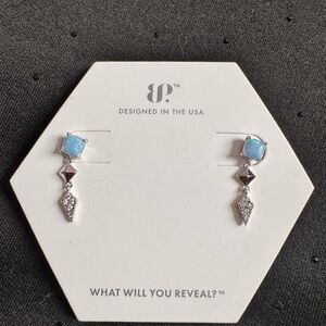 Elegant Silver and Blue Earrings